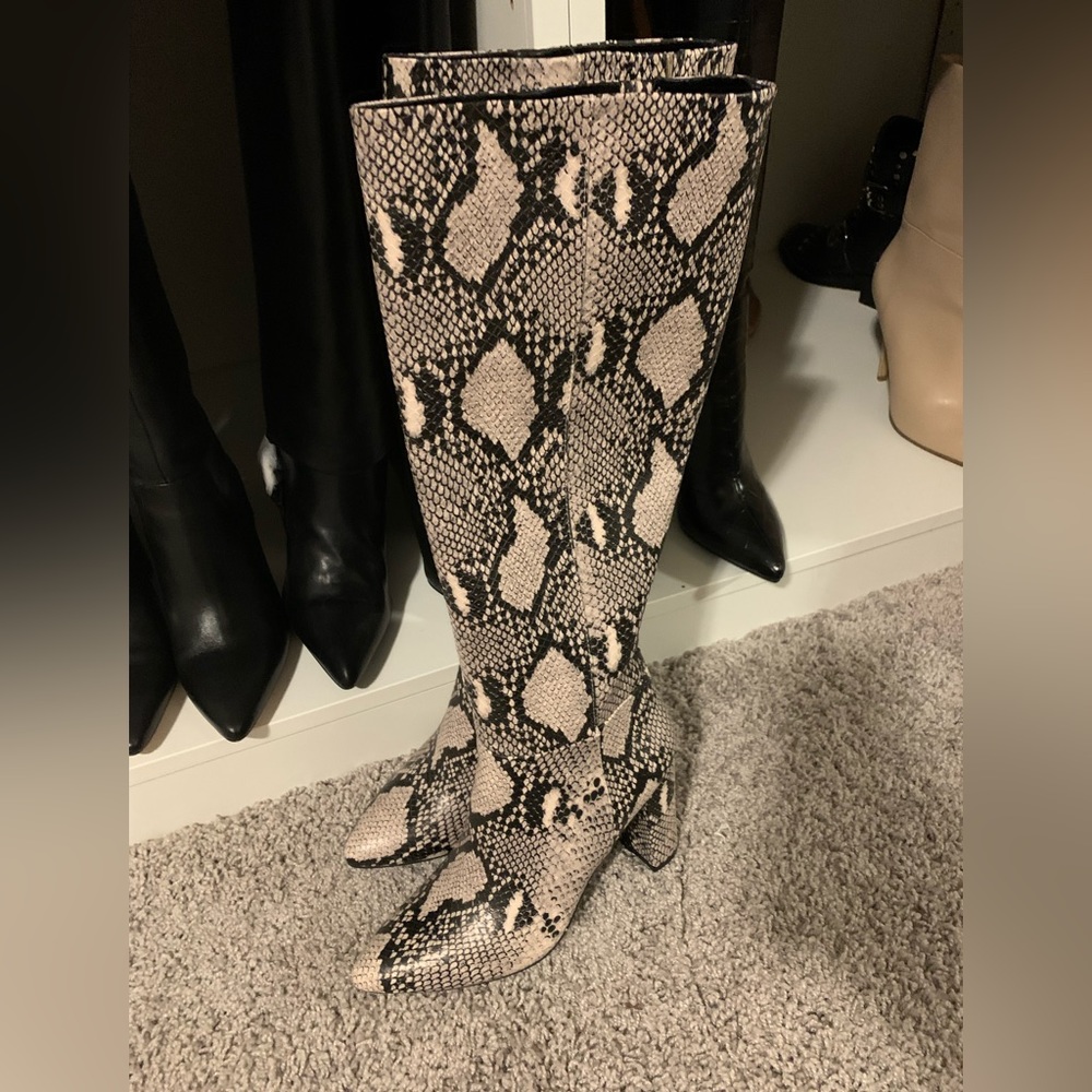 Pointy Toe Snake Print Boots - Never Worn.